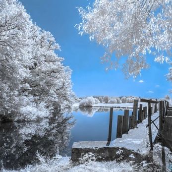 Picture: 