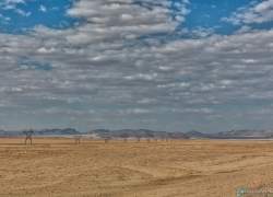 Bild:  / 325-Namibia-aus-luederitz.jpg
