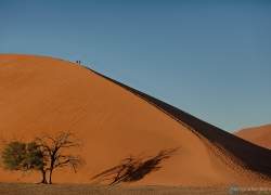 Bild: Düne 45 Sossusvlei / 302-Namibia-sossusvlei.jpg